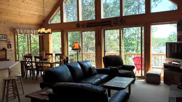 Televisor intel·ligent, llar de foc, reproductor de DVD i videoteca