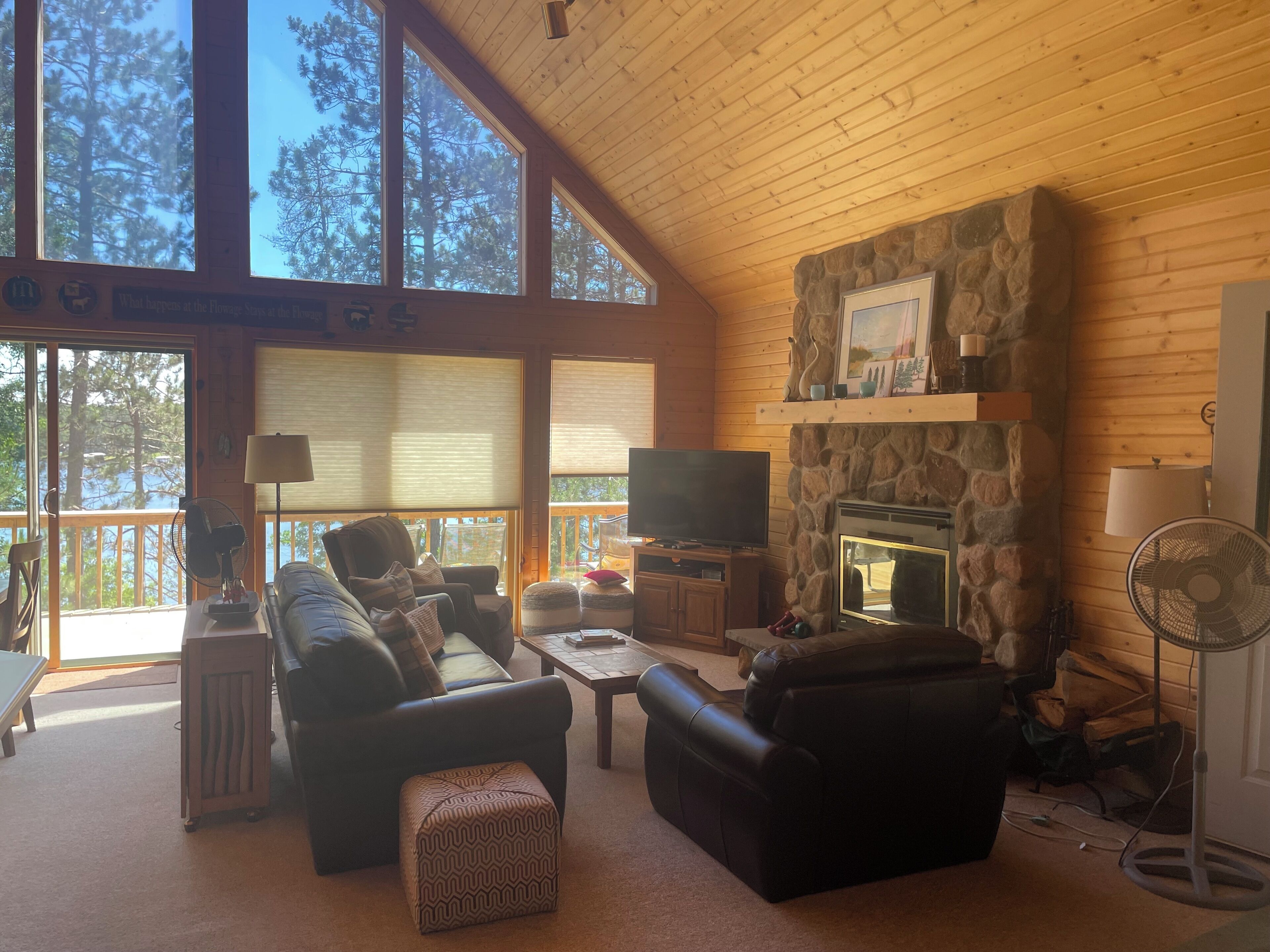 Televisor intel·ligent, llar de foc, reproductor de DVD i videoteca 