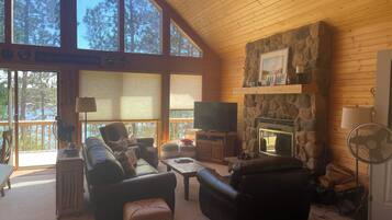 Televisor intel·ligent, llar de foc, reproductor de DVD i videoteca