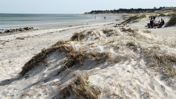 Ein Sandstrand mit Dünen, einem Picknicktisch und einer Gruppe von Menschen.