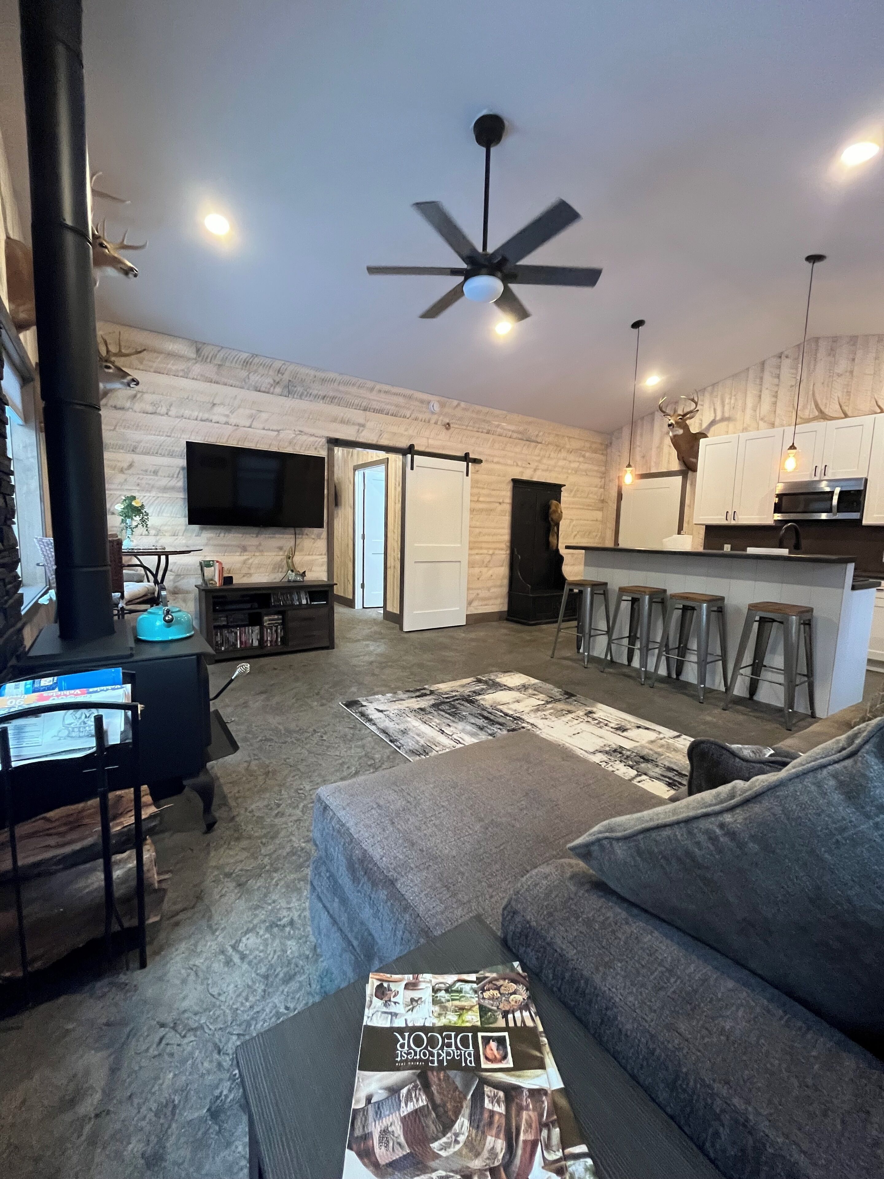 TV, fireplace, DVD player, books