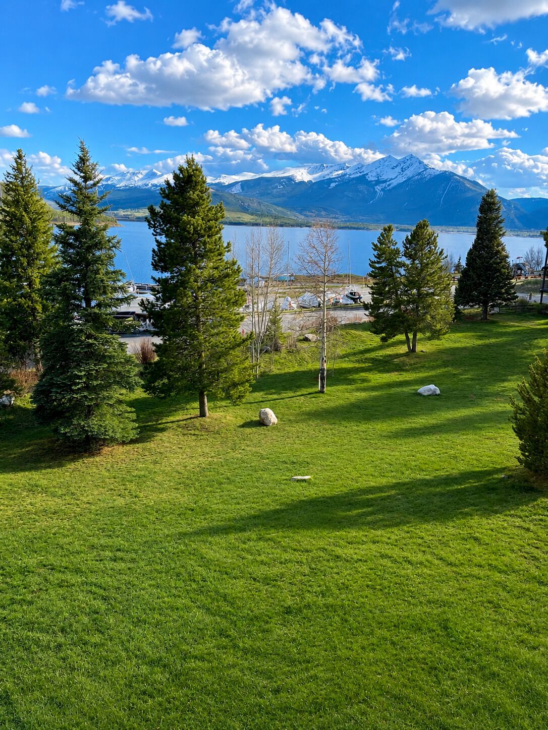 A grassy field with trees and a lake, with mountains in the background.