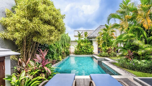 Ein Schwimmbecken mit Liegestühlen, umgeben von üppiger tropischer Vegetation und einer Holzterrasse.
