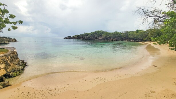 A beach with clear water, a rocky shoreline, and a forested area in the background.