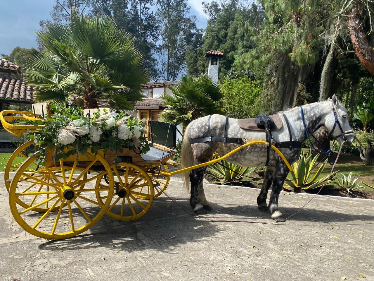 Un carruaje tirado por caballos con un arreglo floral, estacionado en un jardín con árboles y un edificio al fondo.