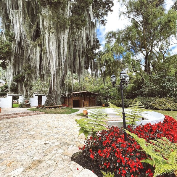 A courtyard with a stone pathway, a wooden building, and a large tree with hanging moss. - Hacienda La Armenia - Hotel Cottage (Sopo)
