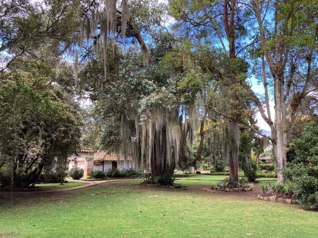 Un exuberante jardín con árboles maduros, un césped cuidado y un edificio rústico al fondo.