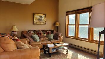 Televisión y chimenea