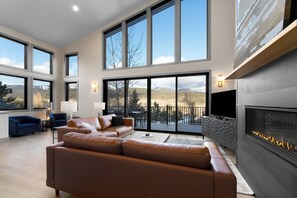 Smart-TV, Kamin