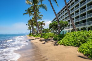 On the beach - New Listing - Lahaina Shores 317, Beautiful Beachfront Location (Lahaina)