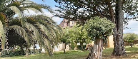 المنطقة المحيطة بالمنشأة