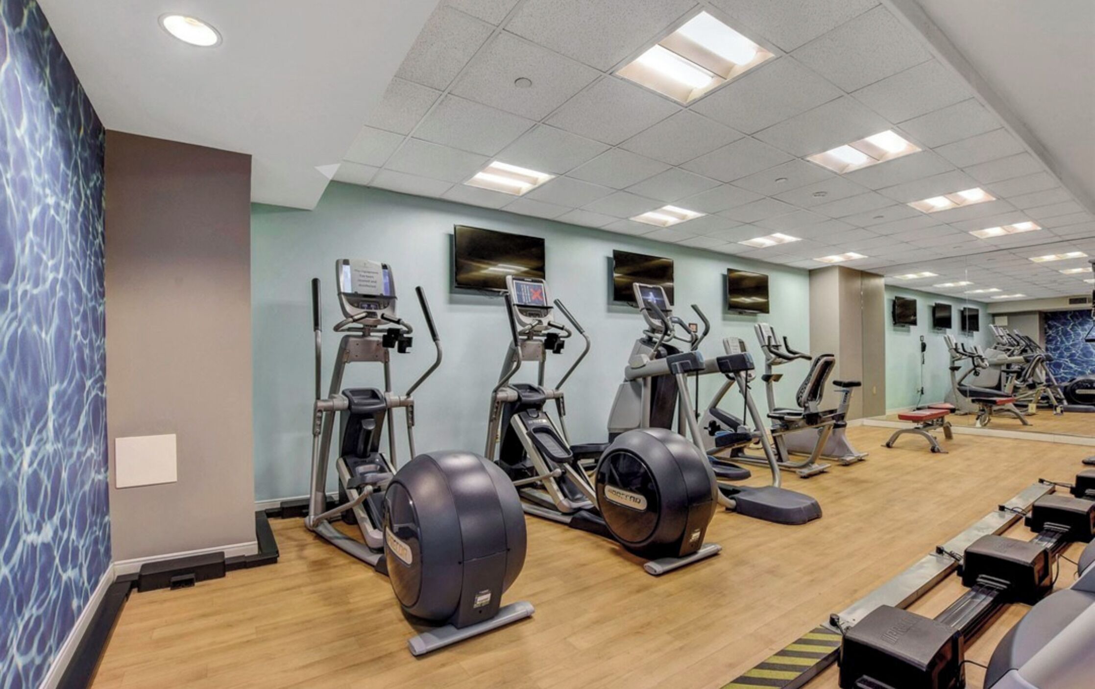 A gym with various cardio machines, including treadmills and elliptical trainers, arranged in rows.