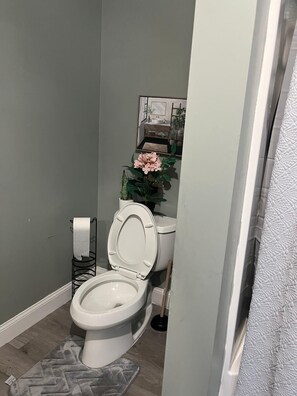 Haartrockner, Handtücher, Seife, Toilettenpapier