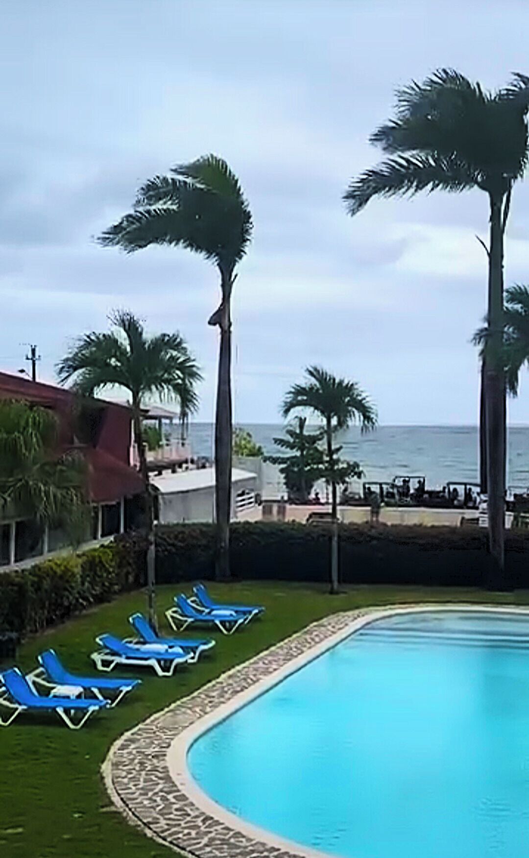 Zona de piscina con sillas reclinables azules, palmeras y vista al océano.