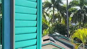 Ein Fenster mit tealfarbenem Rahmen und horizontalen Jalousien, ein weißes Gebäude mit Sonnenscheibenmuster und üppige tropische Vegetation im Hintergrund.