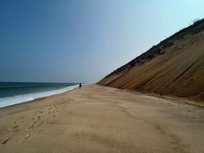 Beach - Much admired stylish retreat on 1/2 acre of lush gardens. Inviting & Comfortable (Wellfleet)