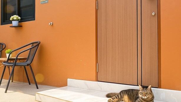A cat lying on a tiled step outside a building with an orange wall and a wooden door. - 3-Min Walk to Beach • Super Private 2 BR House (Tambon Patong)