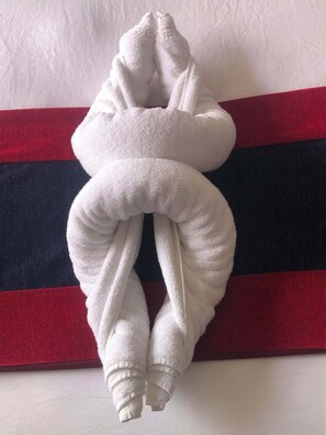 豪華雙人房 | 其他設施