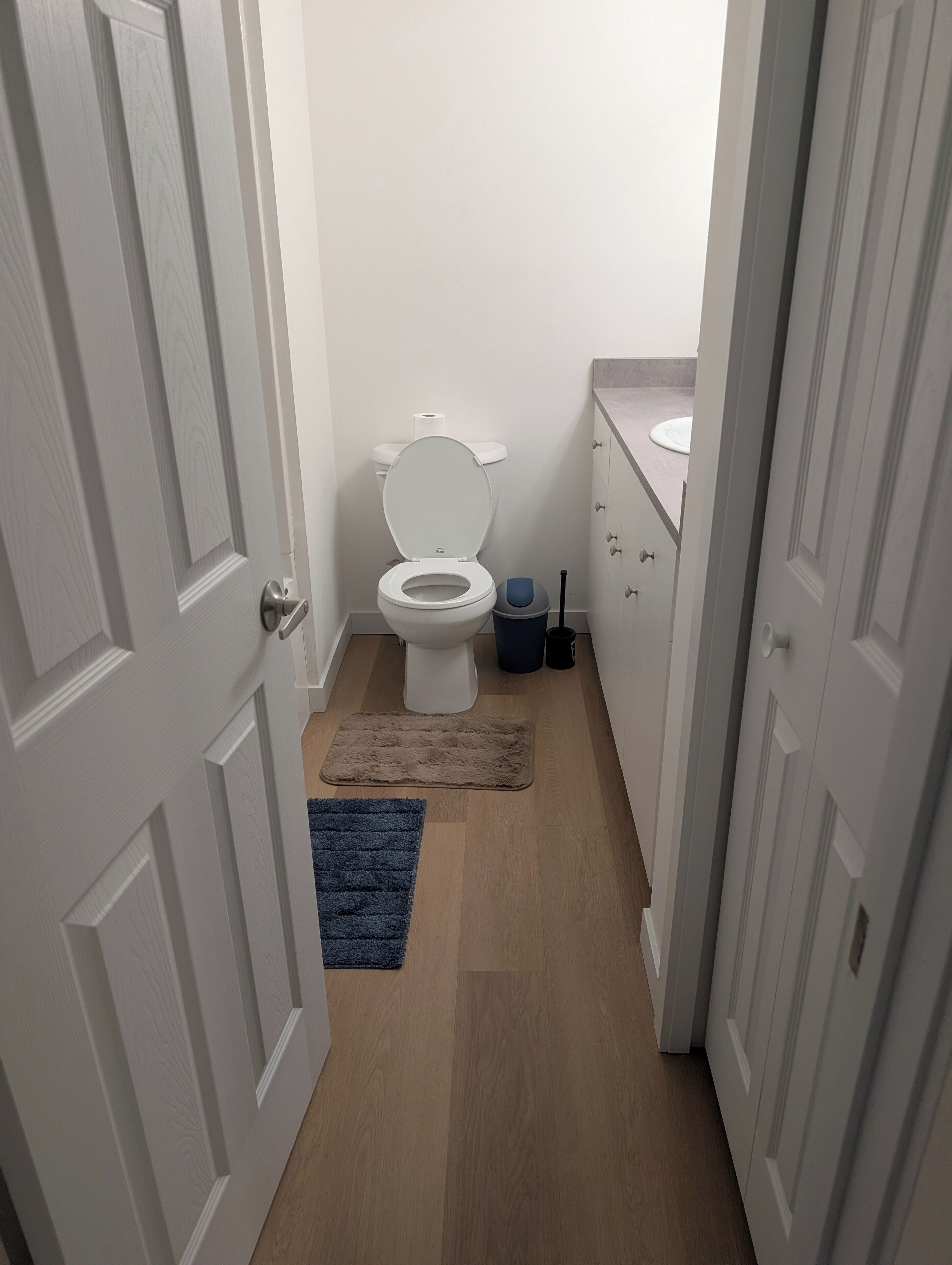 Bidet, towels, soap, shampoo
