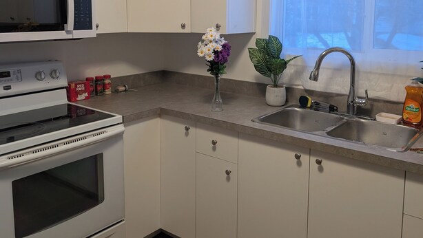 A modern kitchen with white cabinets, a built-in microwave, a stove, a sink, and a window with a view of trees.