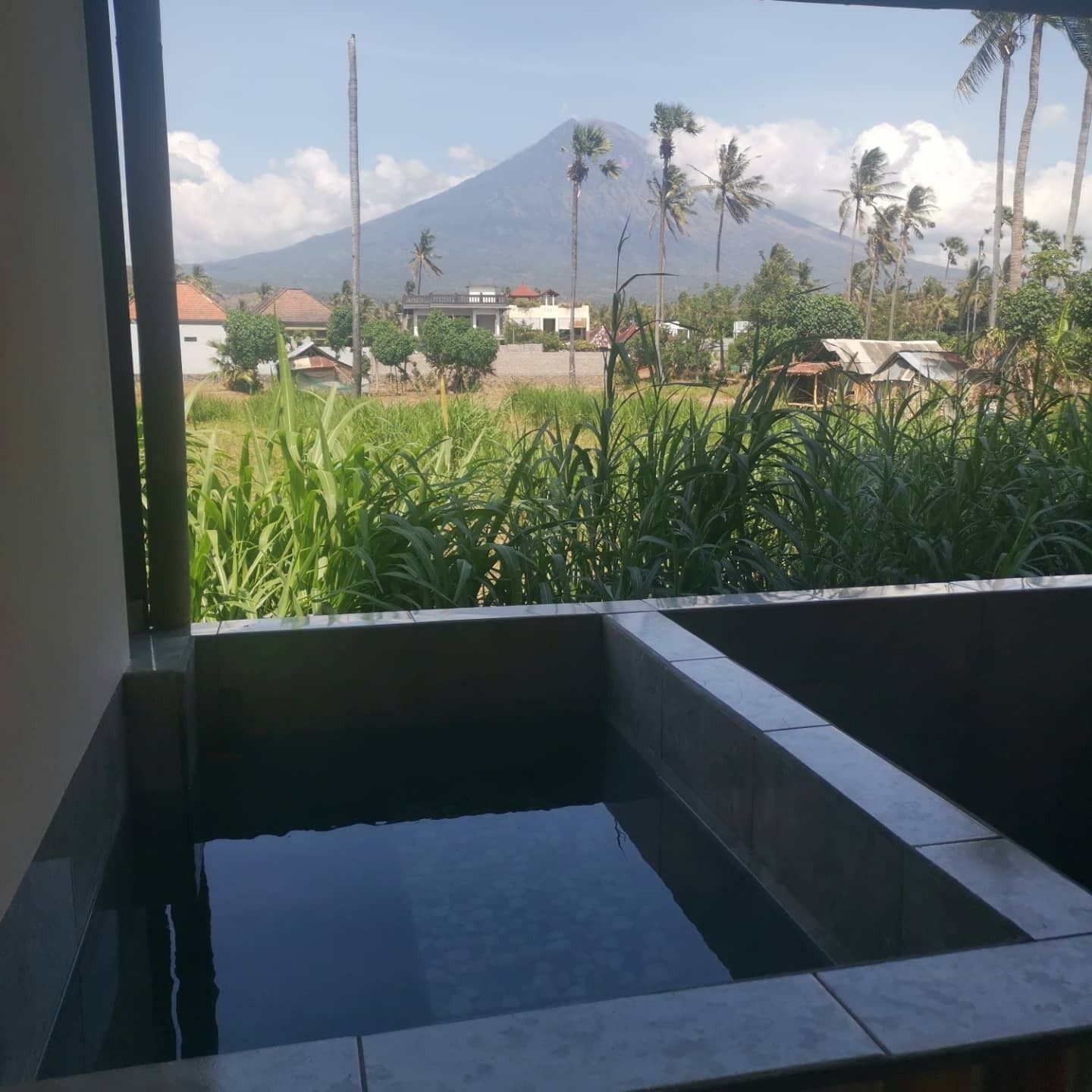 Una habitación con vistas a la montaña y palmeras.