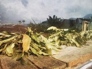 Miscellaneous - Yogika-Center (Karangasem)