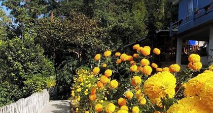 MountainBrew Homestay