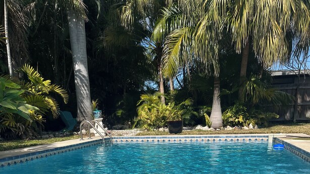 A clear swimming pool with a tiled edge, surrounded by palm trees and greenery.