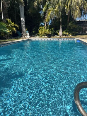 A clear swimming pool with a tiled edge, surrounded by palm trees and greenery.