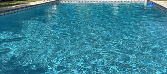 Backyard Oasis: 2 bedroom house with pool in Shore Acres mins from St Pete