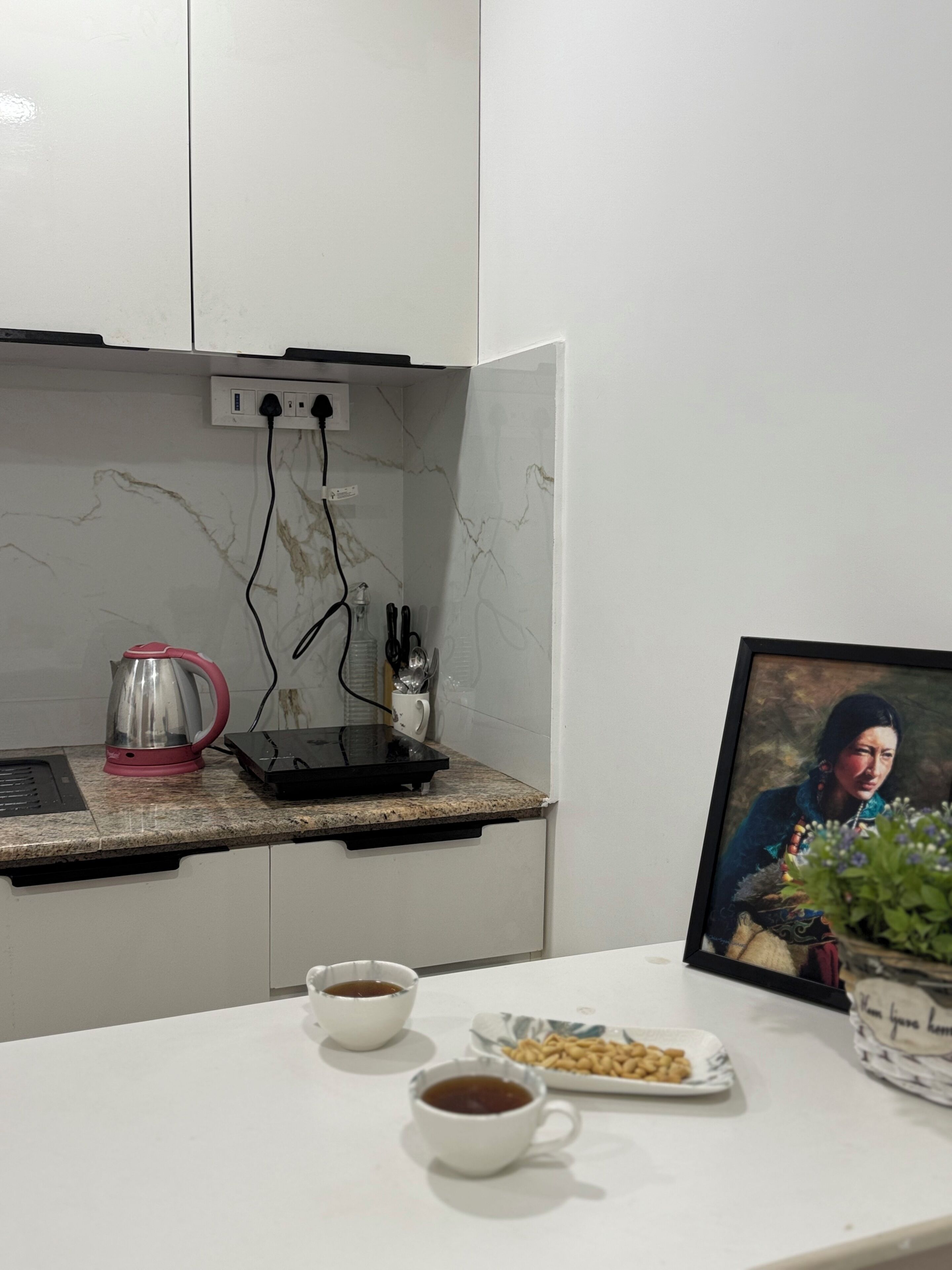 Fridge, microwave, stovetop, cookware/dishes/utensils