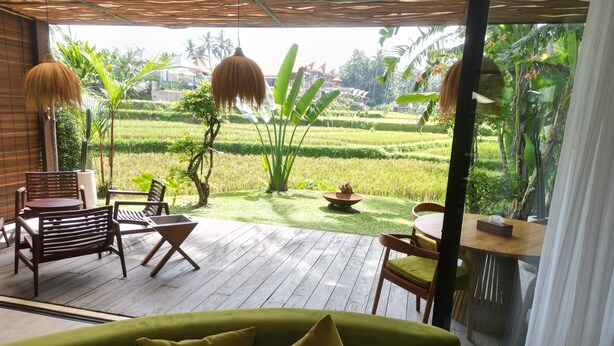 Een kamer met een houten terras, een groene bank en uitzicht op een weelderige tuin met rijstvelden.