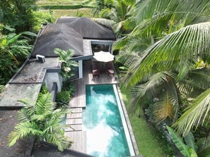 A rooftop pool with a wooden deck, surrounded by lush greenery and palm trees. - Villa 2ch-Ubud-piscine-Jungle rivière & rizière (UBUD)