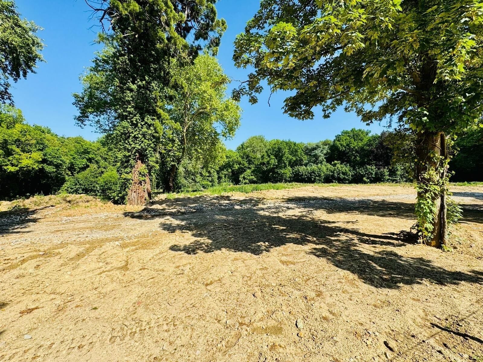 Een onverhard pad dat door een bebost gebied loopt, met bomen en een heldere lucht.