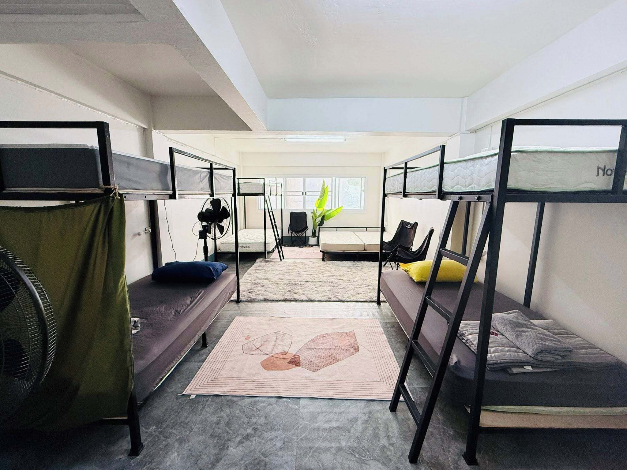 A dormitory room with bunk beds, a fan, a plant, and a window.