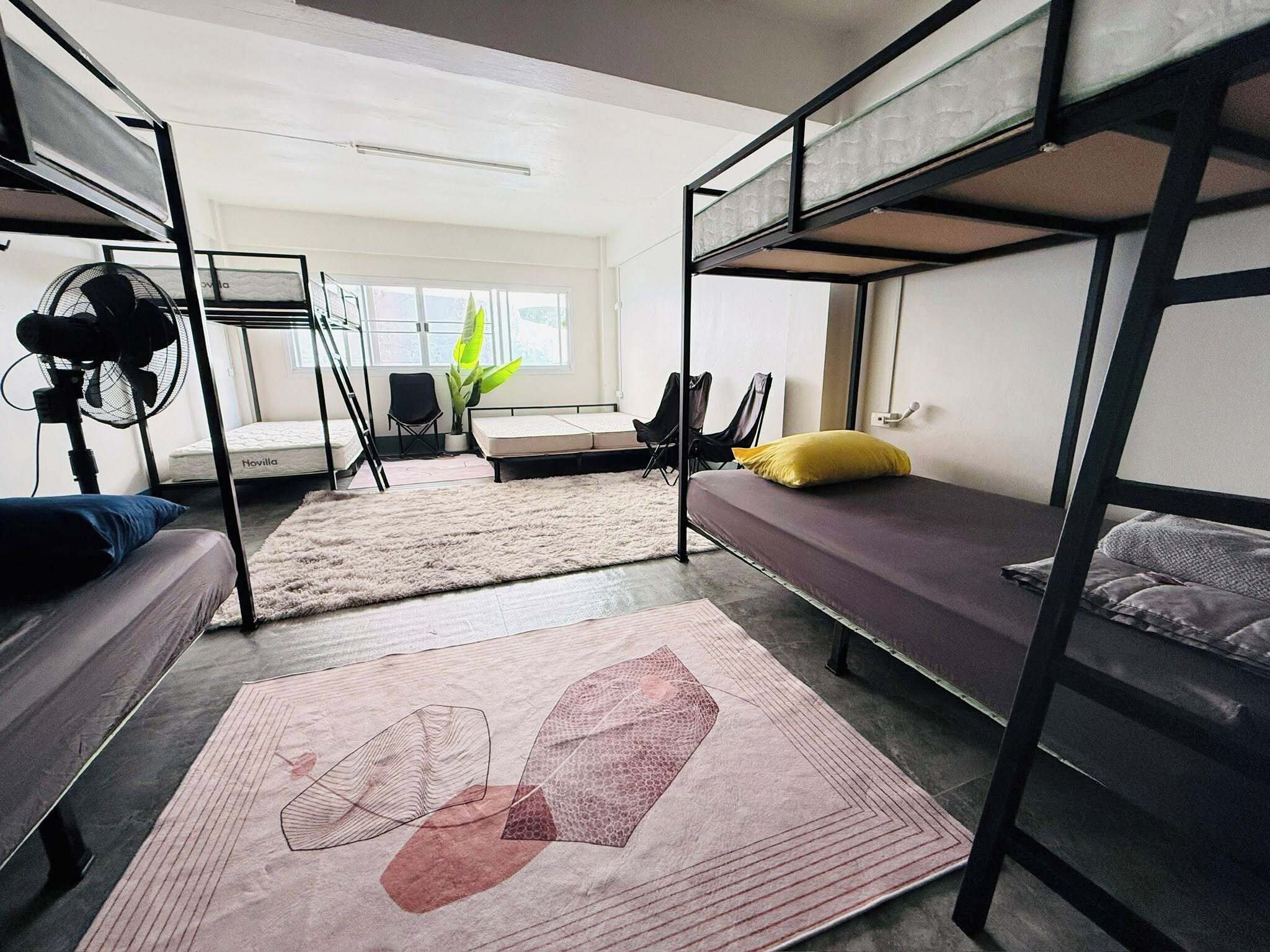 Habitación tipo dormitorio con literas, un ventilador, una planta y una ventana.