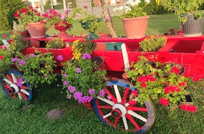 Un giardino con una carriola rossa piena di vasi con piante e fiori.
