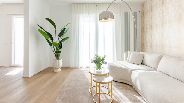 A modern living room with a white sofa, a round coffee table, and a large plant. - NEW Bright 36 with garden [Treviso - Venice]. (Treviso)