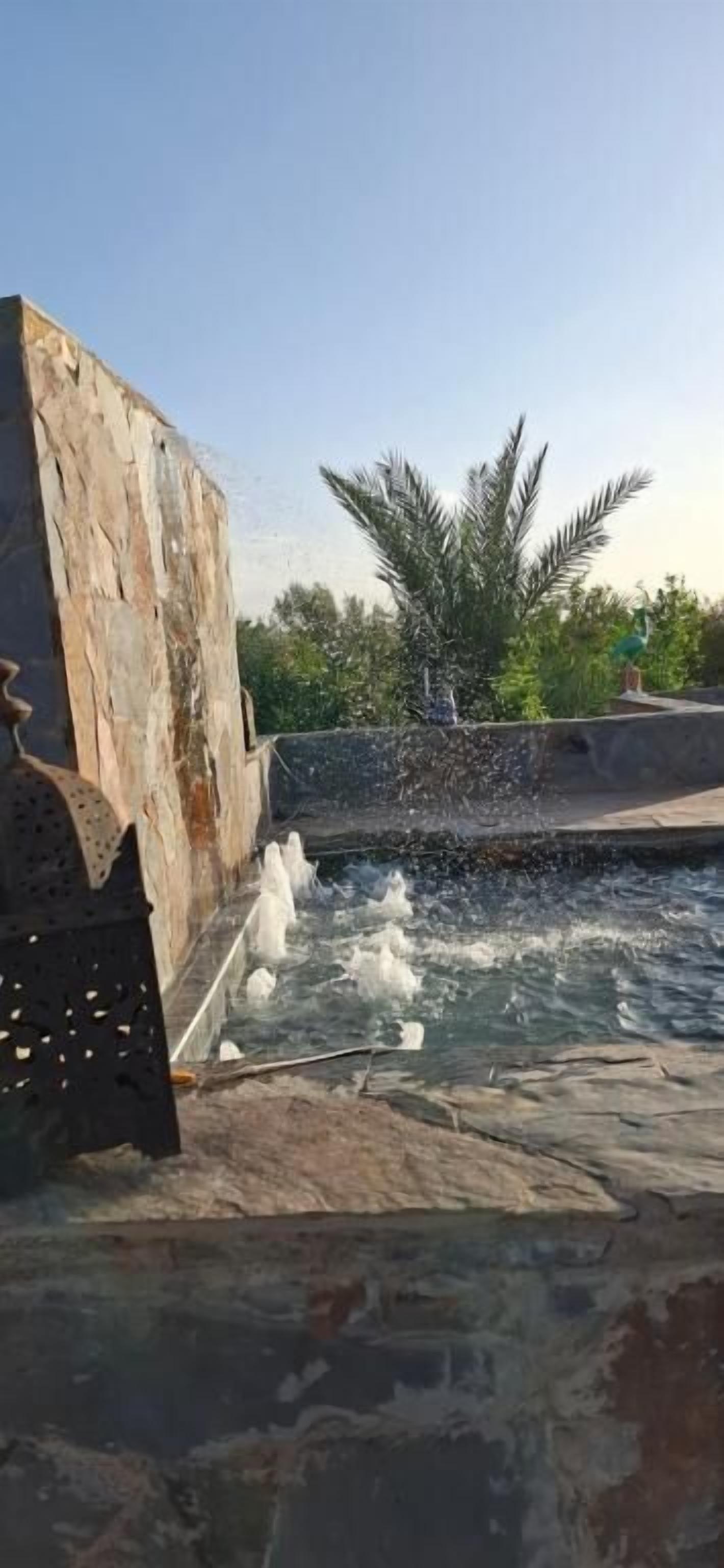 Eine Steinsäule mit Wasserspiel, einer Palme und blauem Himmel.