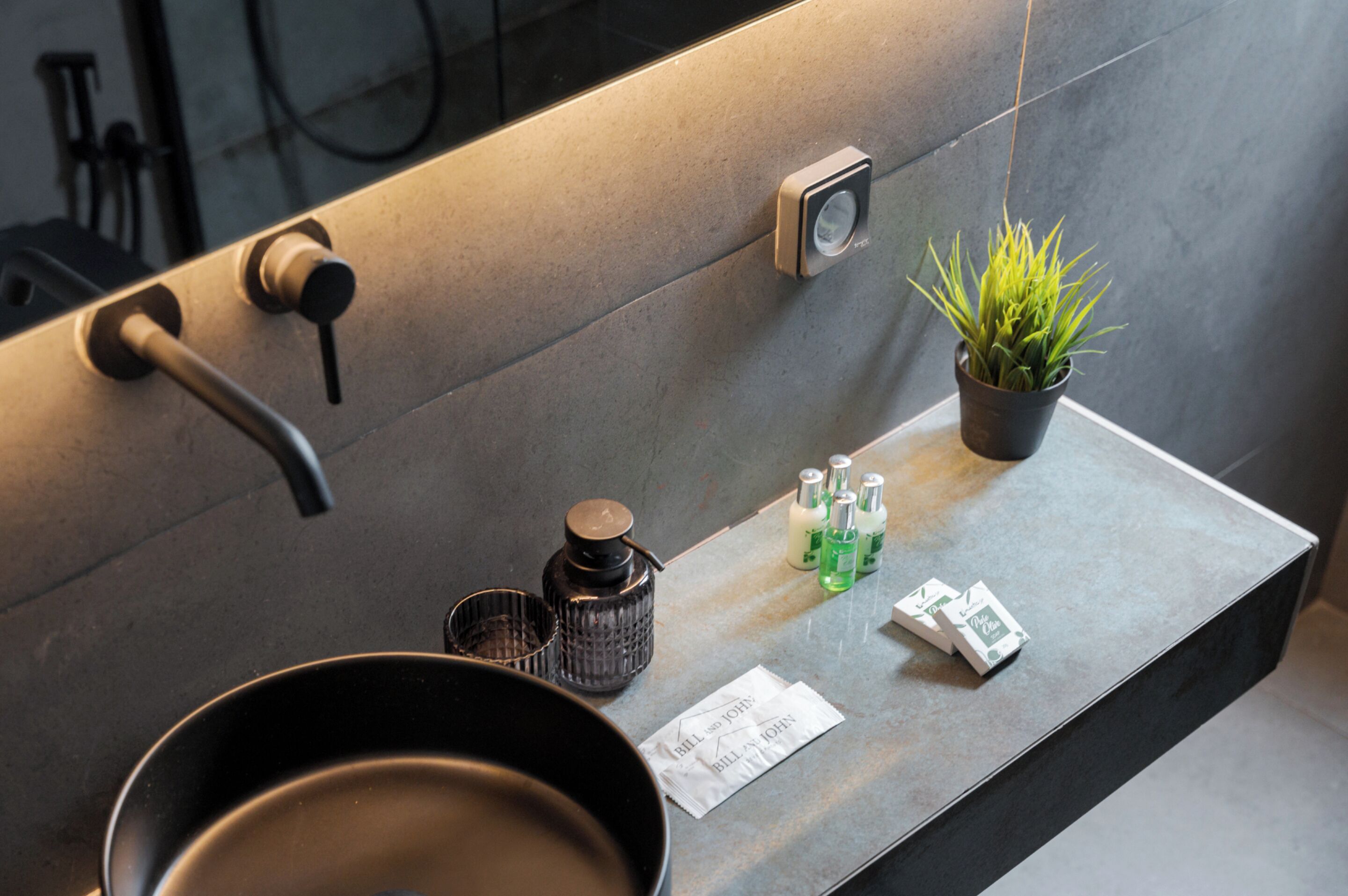 A modern bathroom with a sink, a potted plant, and toiletries.