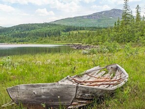 A wooden boat on a grassy shore with a lake and forested hills in the background. - 5 Star Holiday Home in Salen (Salen)