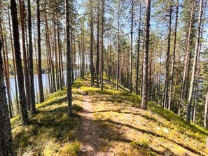 A forested area with a dirt path leading towards a body of water. - 5 Star Holiday Home in Salen (Salen)
