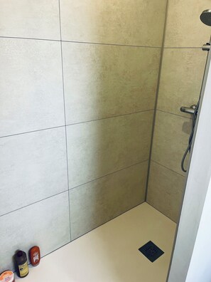 Ducha, secador de pelo, toallas y jabón