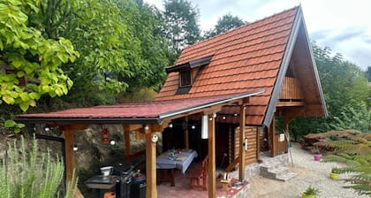 Brvnara Davidovi psalmi Odmaralište Feniks Kosjerić - Odmor u prirodi