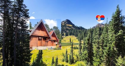 Brvnara Davidovi psalmi OdmaraliĆĄte Feniks KosjeriÄ - Odmor u prirodi