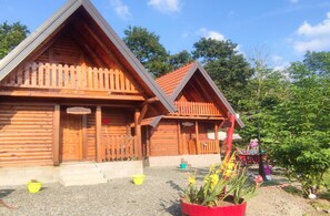 Exterior - Brvnara Davidovi psalmi Odmaralište Feniks Kosjerić - Odmor u prirodi (Kosjerić)