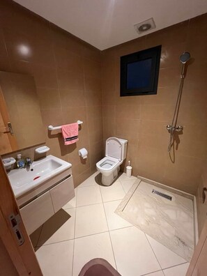 Regadera, toallas, jabón, papel de baño