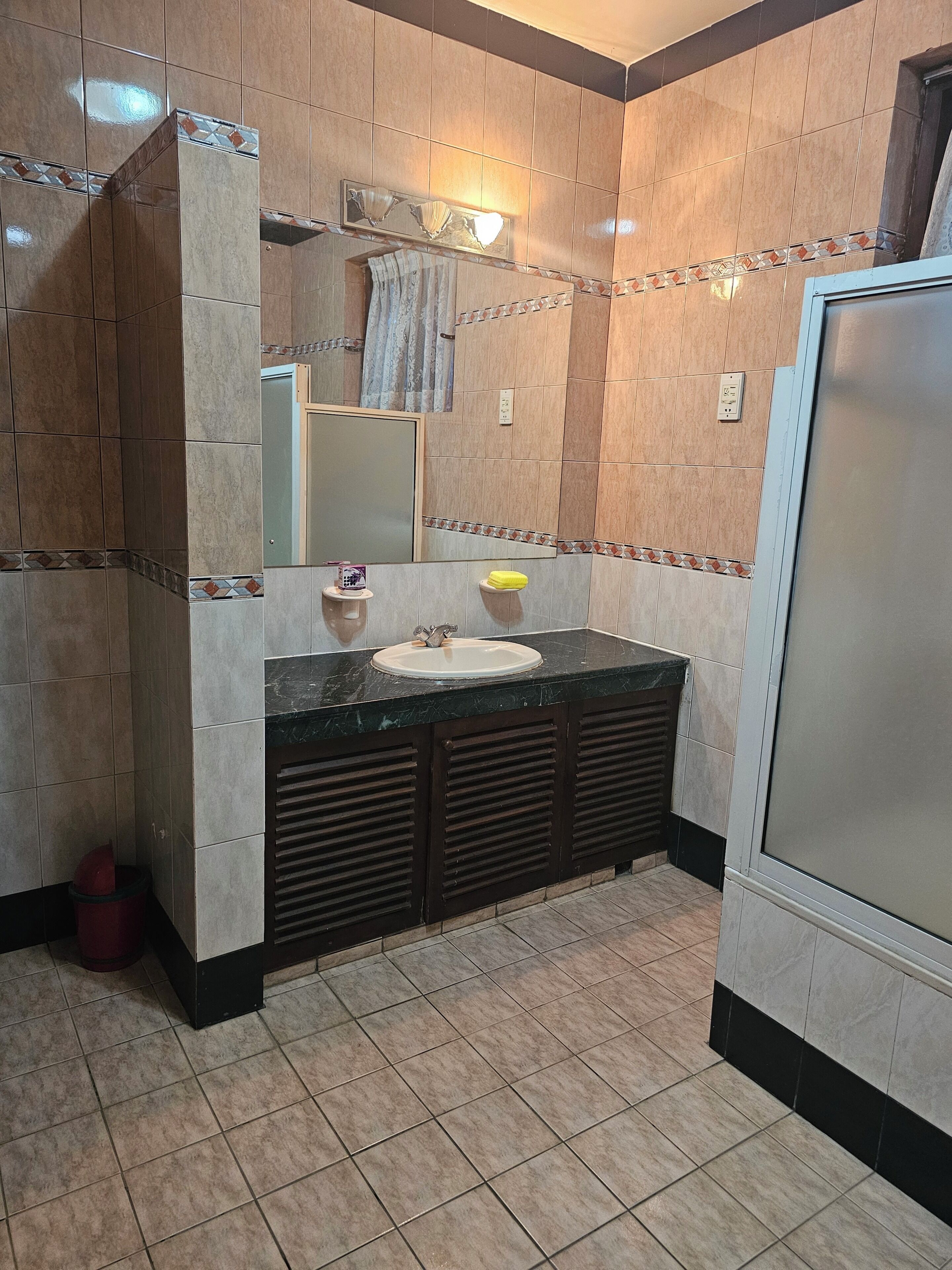 Shower, bidet, towels, soap