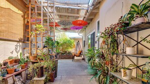 Un petit espace extérieur, agrémenté de différentes plantes en pot et d’une échelle.