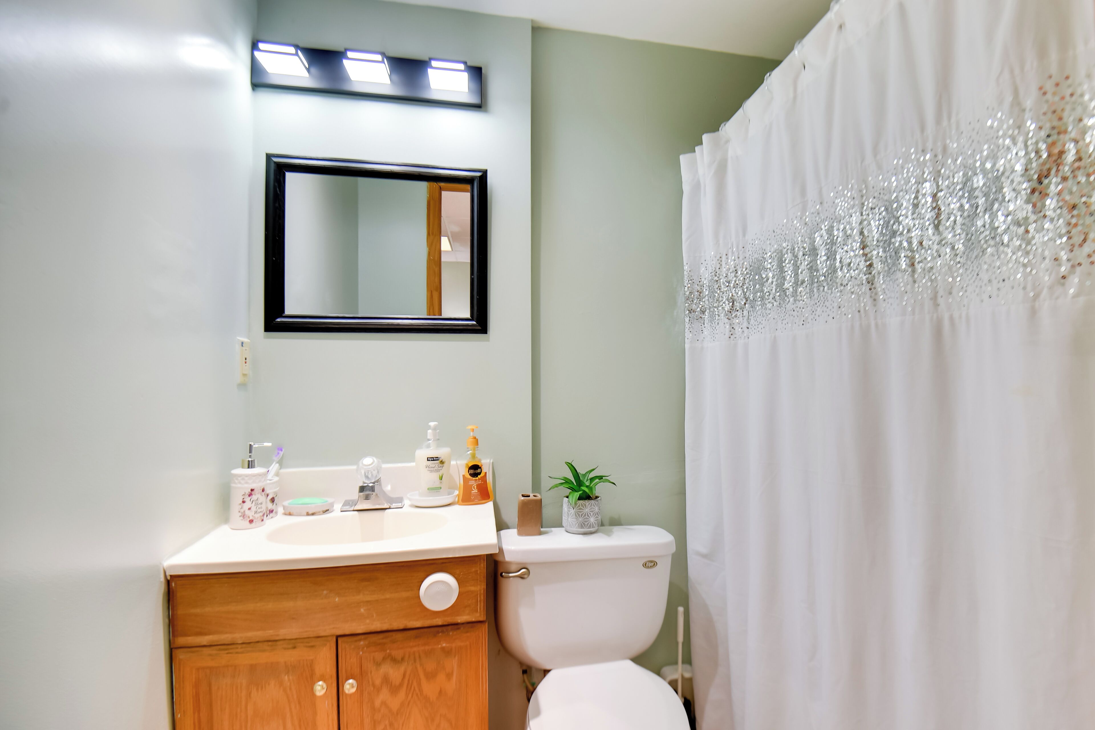 A bathroom with a white toilet, a wooden cabinet, a mirror, and a shower curtain.